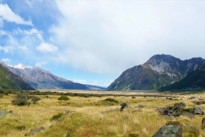 电竞赛事直播平台竞争白热化，北美观众体验如何升级